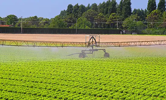 Using Peptide Fertilizers for Sustainable Fertigation